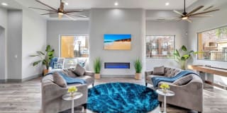 Ventura Vista Gallery 5