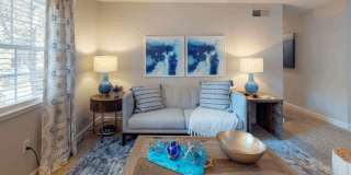 The Lily The Lily Gallery 8