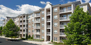 Smith's Landing Gallery 36