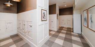 Alexan Harrison Apartments Gallery 60