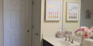 23611 Alamanda Dr Gallery 6