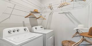 The Stafford Gallery 18