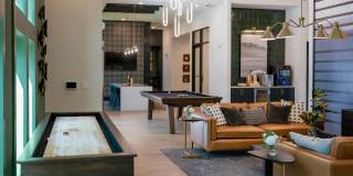 Isla Palmetto Gallery 2