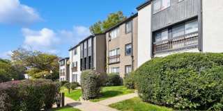 Vistas of Annadale Gallery 29