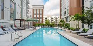 The Laurent Gallery 31