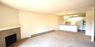 SHORT TERM RENTAL FOR SPRING 2026! 3 Bedroom, 2 Bathroom Penthouse Condo Gallery 20