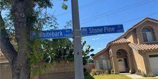 6836 Stone Pine Court Gallery 1