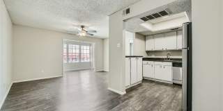 Rise Spring Pointe Gallery 99