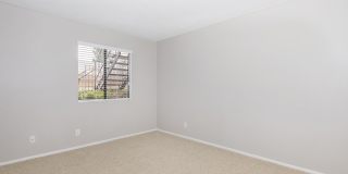 Mountain Springs Gallery 59