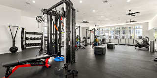 Vinoy St Johns Gallery 3