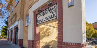 Oak Walk Gallery 15