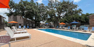 Autumn Chase Gallery 4