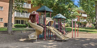 Glenmont Forest Gallery 36