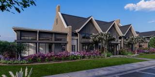 The Canter The Canter Gallery 17