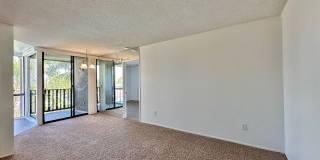 Upgraded 2 Bedroom Condo in San Carlos!!  Water/Sewer/Trash Included!! Gallery 3