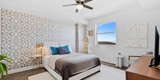 Motion at Dadeland Gallery 51