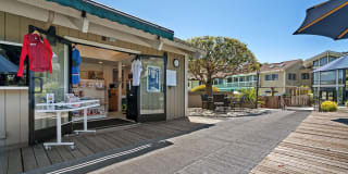 Harbor Point Waterfront Apartments Gallery 45