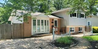 4517 Mayfield Drive Gallery 35