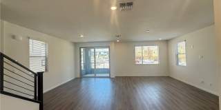 1513 Bat Hawk Street Gallery 14