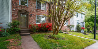 11504 Ivy Bush Ct Gallery 1