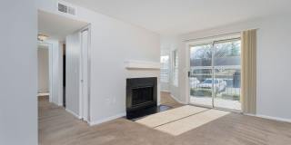 Steeplechase Gallery 22