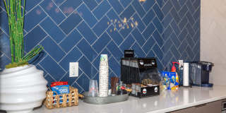 Lakeshore at Preston Gallery 38