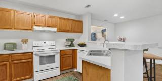 Ellington Woods Apartments Gallery 3