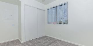 Metro Tucson Gallery 20