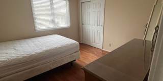 430 Canterbury Gallery 20
