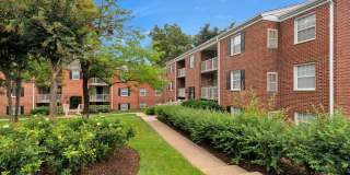Lerner Springfield Square Apartments Gallery 2