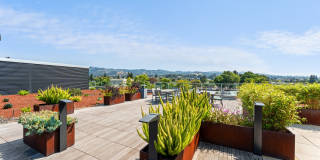 47Hundred Gallery 15