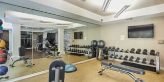 Beverly Arnaz Gallery 8