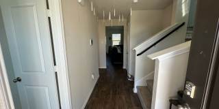 7323 Perseus Brook Gallery 6