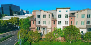 81 Waldorf Gallery 1