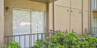 Waterview Crossing Gallery 32