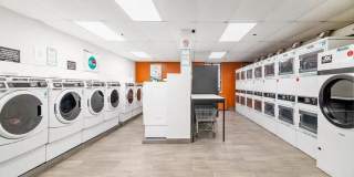 305 West 52nd Street Gallery 4