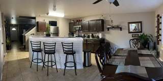 54 Basin Elm Gallery 7