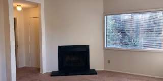 Blanche Clare Apartments - A Distinctive Urban Retreat Gallery 14