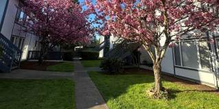 Capri Apartments Gallery 13