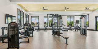 Ascend Nona West Gallery 17