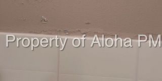 1803 Broxon Gallery 15