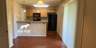 AV16614 Gallery 7