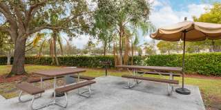 Fort Lauderdale - Davie Gallery 25