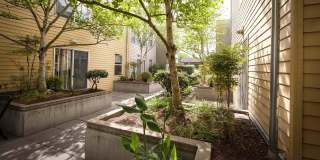 Broadway Place Gallery 6