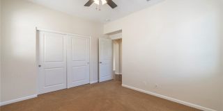 56 Scarlet Bloom Gallery 16