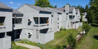 University Park Gallery 364