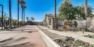 Adiamo Palm Valley Gallery 19
