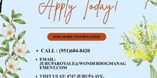 Jurupa Royale Apts Gallery 4
