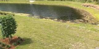 281 REDBUD ROAD Gallery 2