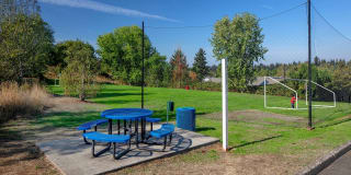 Avana Evergreen Gallery 43